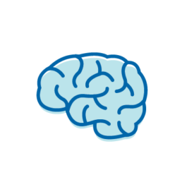 Brain Icon, Brain Imaging (if needed)